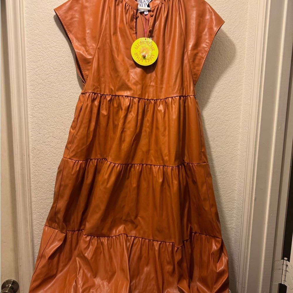 Alden Adair pippa Terracotta Midi Dress - Picture 7 of 7
